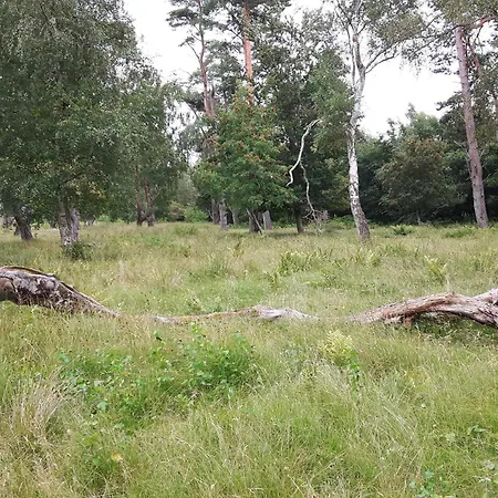 6 Person In Vaeggerlose Bøtø By