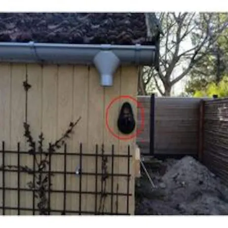 Tatil Evi 6 Person In Vaeggerlose *
